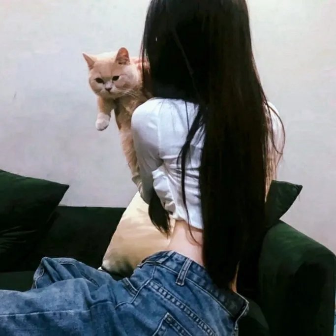 红楼梦第六部